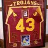 Troy Polamau Jersey Frame